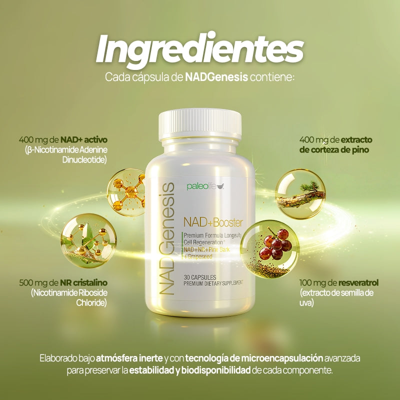 NADGenesis – Recarga tus células